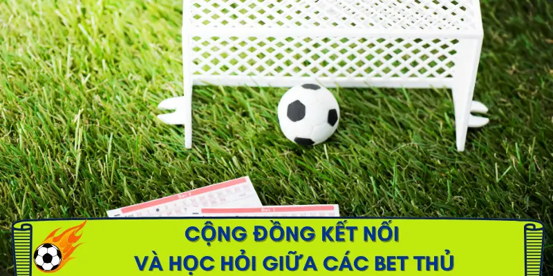 forum-ca-do-bong-da-gia-tri